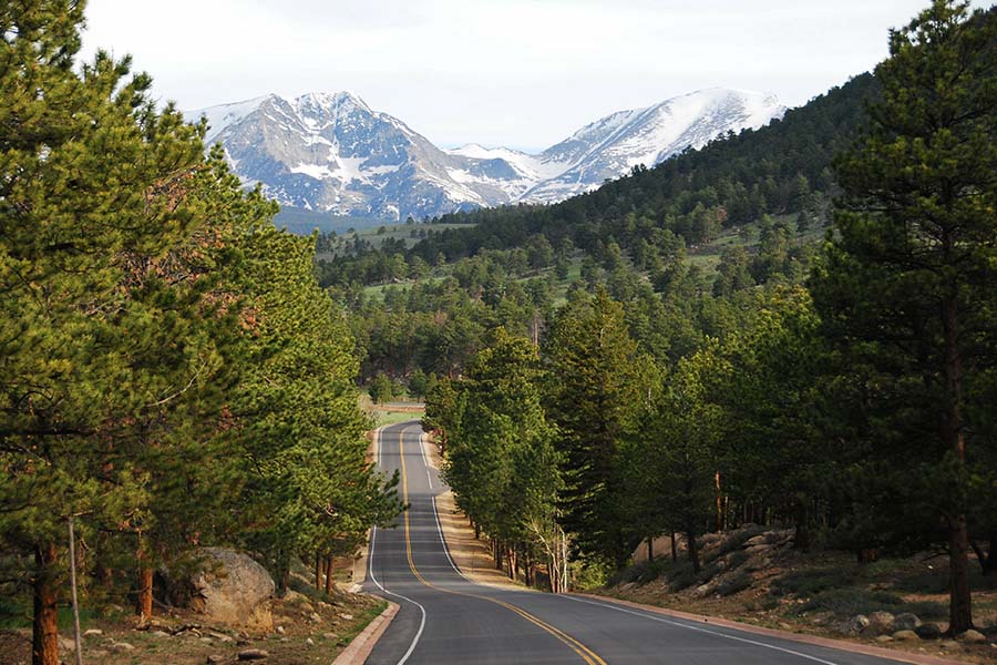 Contact - View of Empty Winding Road Leading Up to the Mountains with Surrounding Forests in Colorado